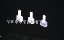 2MM white light long flat head fog white light long foot astigmatism Pagoda type LED luminous tube indication Special