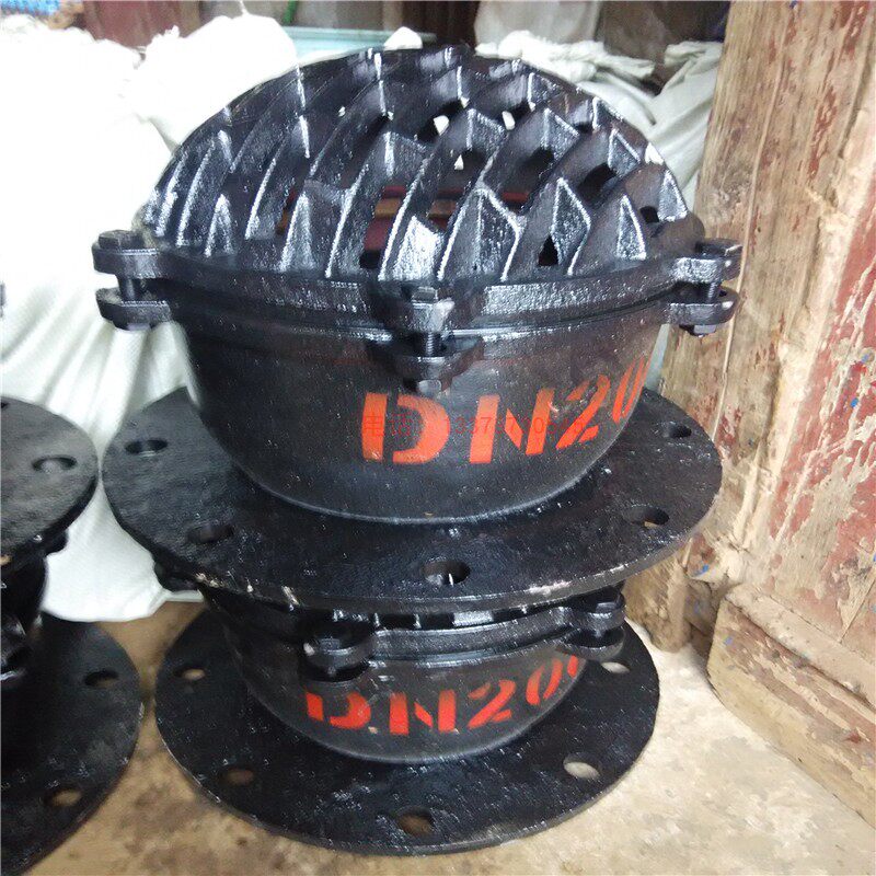 Bottom valve H42X-10 flange check valve cast iron water pump DN50 125 150 200 250