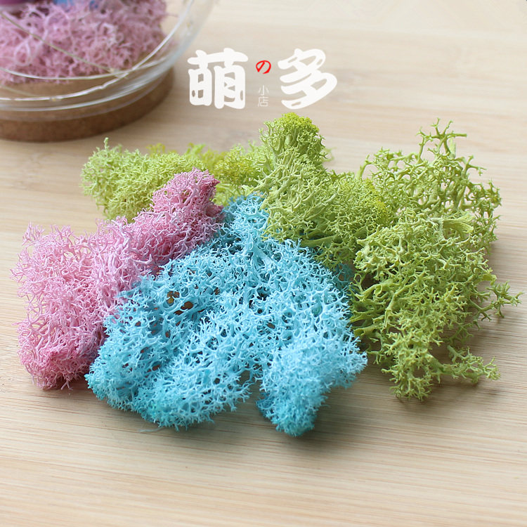Evergreen moss diy material glass cover Yongsheng Courtesy Box Accessories Microscape Making Material Decorative Fillers