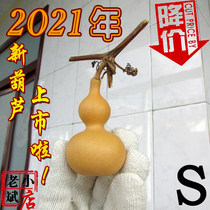 Laobin small shop natural primary color palace eight treasures Tianjin mouth selection Wen play hand twist small gourd a shot