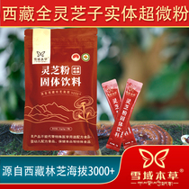 Snow domain Tibetan Ganoderma Pink Linzhi Linzhi Linzhi solid broken wall ultra-fine powder Independent Packaging