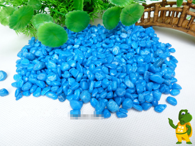 Vật tư làm vườn Cây mọng nước trong chậu trang trí đá màu / đá trắng đá hạt đá Z11 bình xịt cây