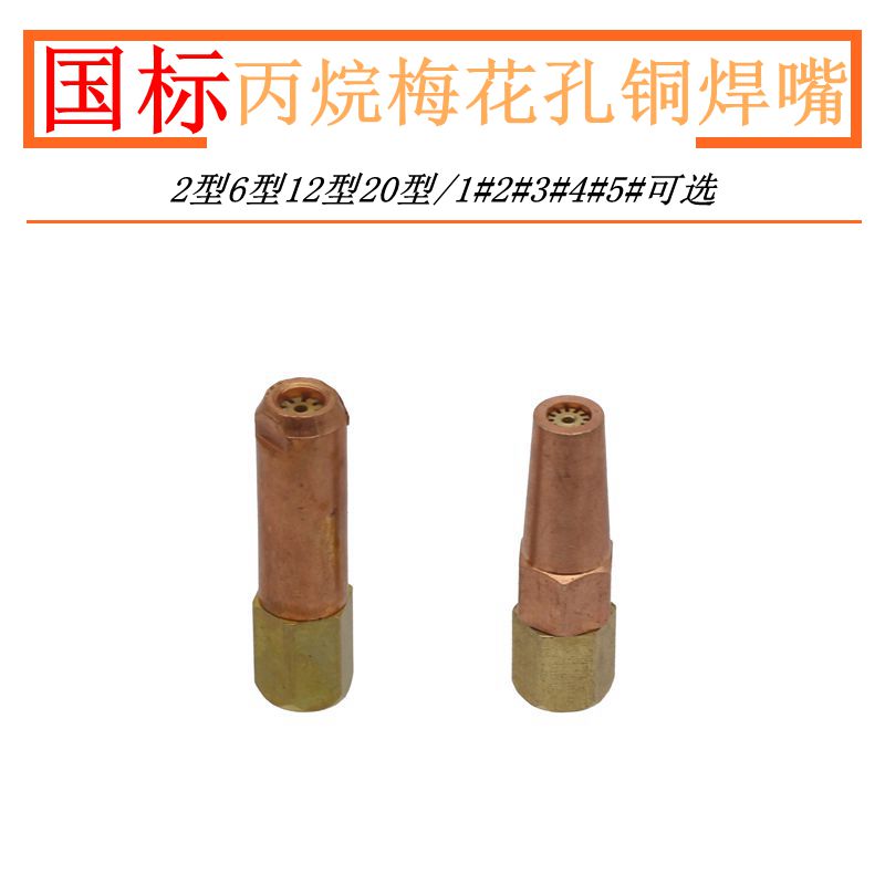 Type 2 Plum Blossom Hole Welding Nozzle 6 Type Gas Welding Nozzle 12 Type Red Copper Propane Gas Welding Head National Standard Liquid Gas Welding Mouth