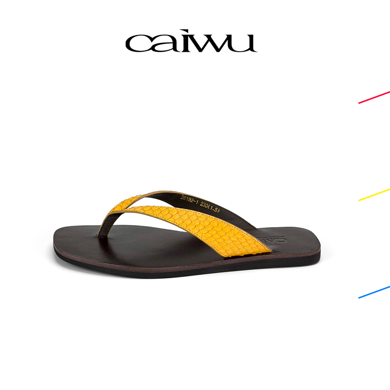 【Colorful Items】Peninsula Holiday Flip-Flops 2026 New Flat Holiday Style Outdoor Slippers for Women