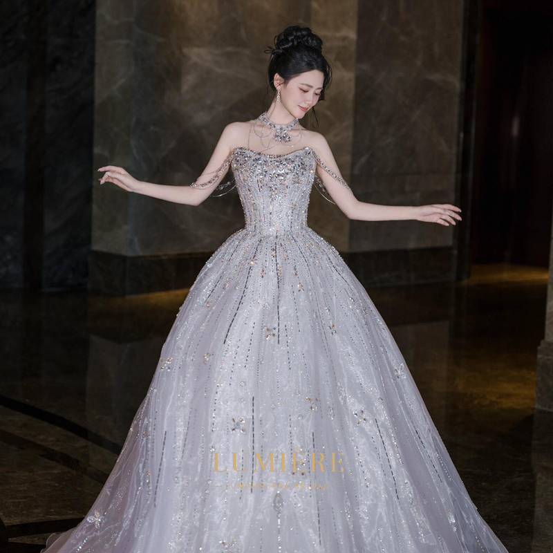 "Stars Falling on Silver Beach" Light Wedding Dress 2026 New Style High-End Light Luxury Engagement Toast Adult Ceremony Evening Dress Haute Couture "Stars Falling on Silver Beach" Light Wedding Dress 2026 New Style High-End Light Luxury Engagement Toast Adult Ceremony Evening Dress Haute Couture