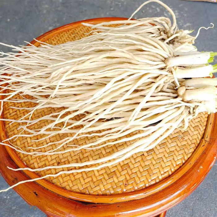 Fresh Skimming Root of Yunnan Fresh Vegetable Roots Large Leeks Root moon can be salted and simmer with fresh and rusted vegetables now dig-Taobao