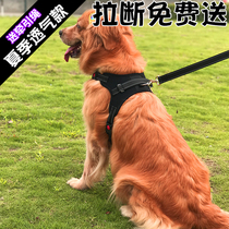 Pet supplies Dog Leash Dog Leash Dog chain medium large dog golden hair dog rope chest strap