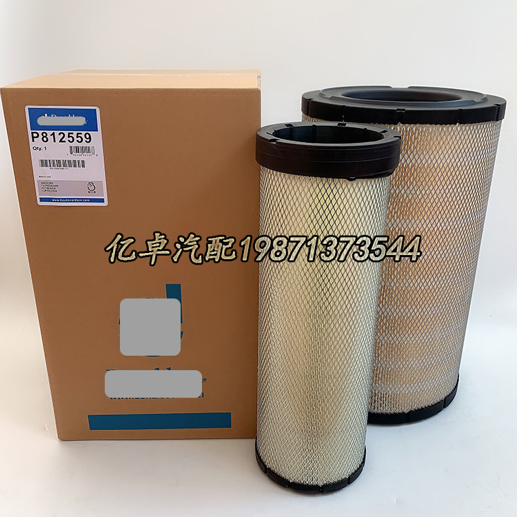 P812559 P812559 RS3870 RS3870 C321700 C321700 2 49770 KTH0577 filter core 8900119925-T