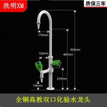 All copper high education two test faucet Laboratory faucet Test water nozzle Test double saliva faucet