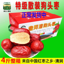 Shaanxi dog head jujube super jujube northern Shaanxi specialty Yan 'an Qingjian six-star snacks wash-free bulk 2000g gift