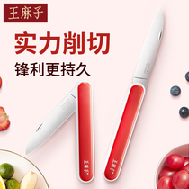 King Hemp Home Water Fruit Knife Melon Fruit Knife Stainless Steel Portable Mini Knife Kitchen Dorm Room With Sharpened Paring Knife