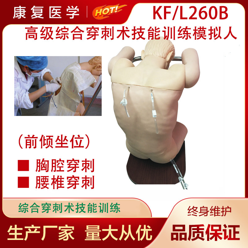 高级综合穿刺术技能训练模型综合穿刺术技能训练模拟人前倾坐位