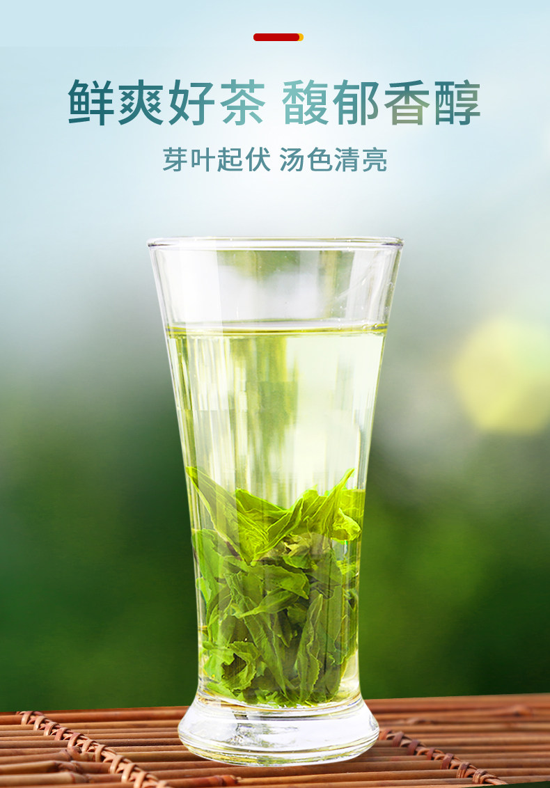 迎客松 高山云雾茶 125g 图5