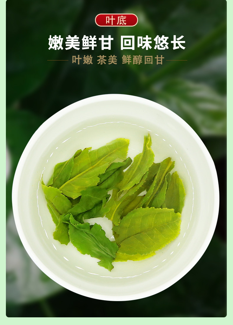 迎客松 高山云雾茶 125g 图10