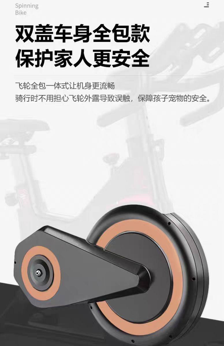 велотренажер 动感单车家用健身器材健身房专用室内运动减肥静音智能动力自行车 Walking the world