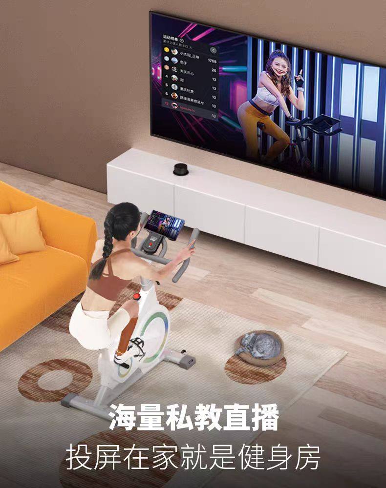 велотренажер 动感单车家用健身器材健身房专用室内运动减肥静音智能动力自行车 Walking the world
