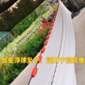 非凡网业的LOGO