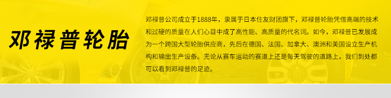 SP-T1--205-55R16-91H_01.jpg