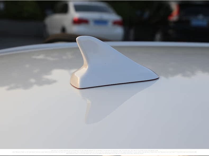 Antenna_11.jpg