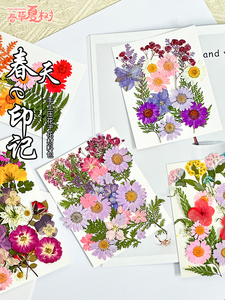 DIY Mixed Dried Flower Leaf Bag Matching Handmade Epoxy Dried Flowers Material Bag Embossed True Flower Plant Specimen