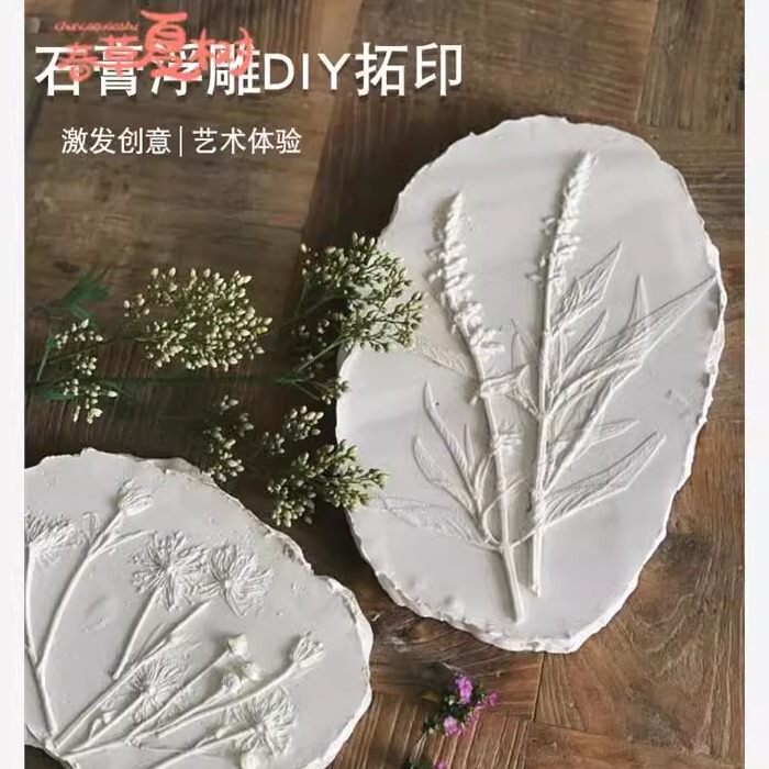 Kindergarten Art Area Small and Medium Classes Intangible Cultural Heritage Plant Plaster Relief Painting DIY Mold Craft Material Kit Activity Set