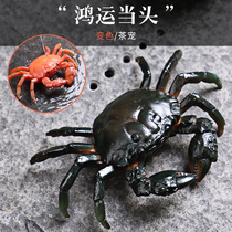 Hui Feng color change tea pet ornaments creative can raise ceramic tea pet crab lobster tea play tea plate Tea table Kung Fu tea set