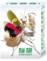 Collection Playing Cards Mantis Poker Animals World Children Learn Collections Gift Keyspin Poker Emblems