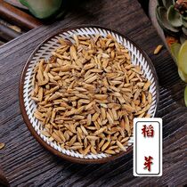 Rice buds 500g grams New cargo Rice Sprout Chinese Herbal Medicine Raw Rice Shoots Other Fried Rice Buds Raw Malt Raw Grain Sprout Double Buds Water