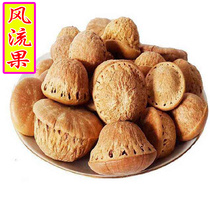 Wind Flowing Fruits Wild Guangxi Fresh Tortoise Skull 500 gr Mens Kidney Tianzhu Grain of Yin and Yang Bubbles Wine Chinese Herbal Medicine