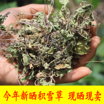 Wild fresh and dried Chinese herbal medicine Lei Gong root landslide large bowl wild snow grass 500 gr Guangxi Chinese herbal medicine