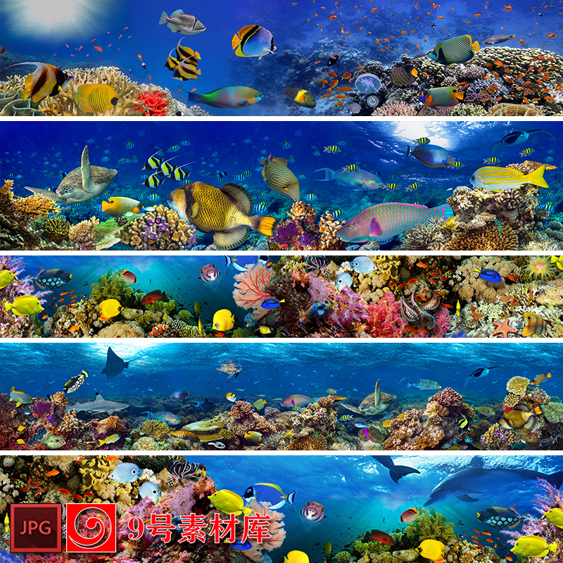 Long-Format Underwater World Marine Life Fish Schools Tropical Fish Coral Reef High-Definition Decorative Painting Jpg Design Material