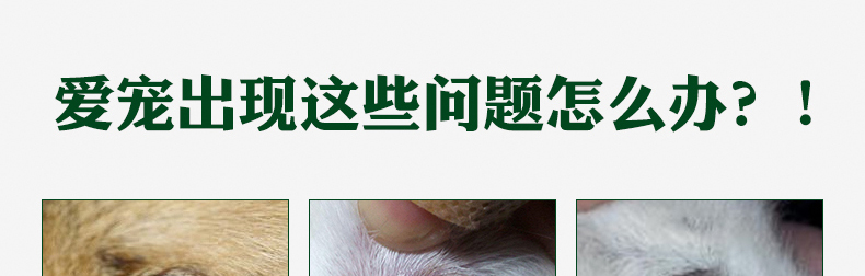 Jacobs Eye Le Khánh Pet Dog Cat Eye Drops Ngăn ngừa nhiễm trùng Viêm kết mạc Viêm khớp Khử trùng - Thuốc nhỏ mắt nước mắt nhân tạo refresh