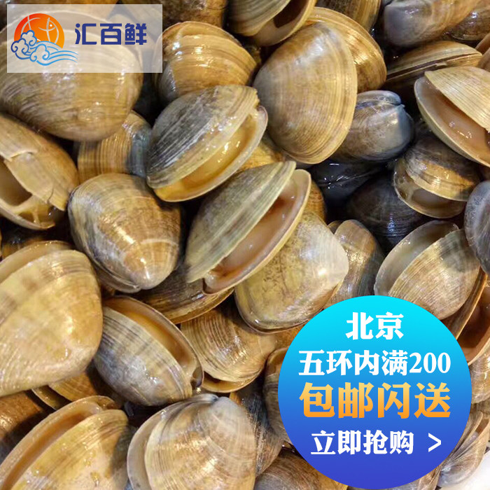 蚬子种类,蚬子品种,蚬子(第8页)_大山谷图库
