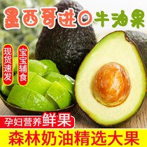 Avocado Fruit Fresh Big Fruit Instant Big Mac Mexico Imported Seasonal Baby Children Children Pregnant Avocado
