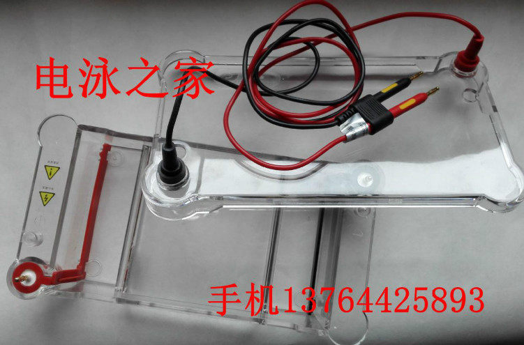 核酸电泳槽胶板制胶架制胶梳天能伯乐六一君意染料制胶盒托盘梳