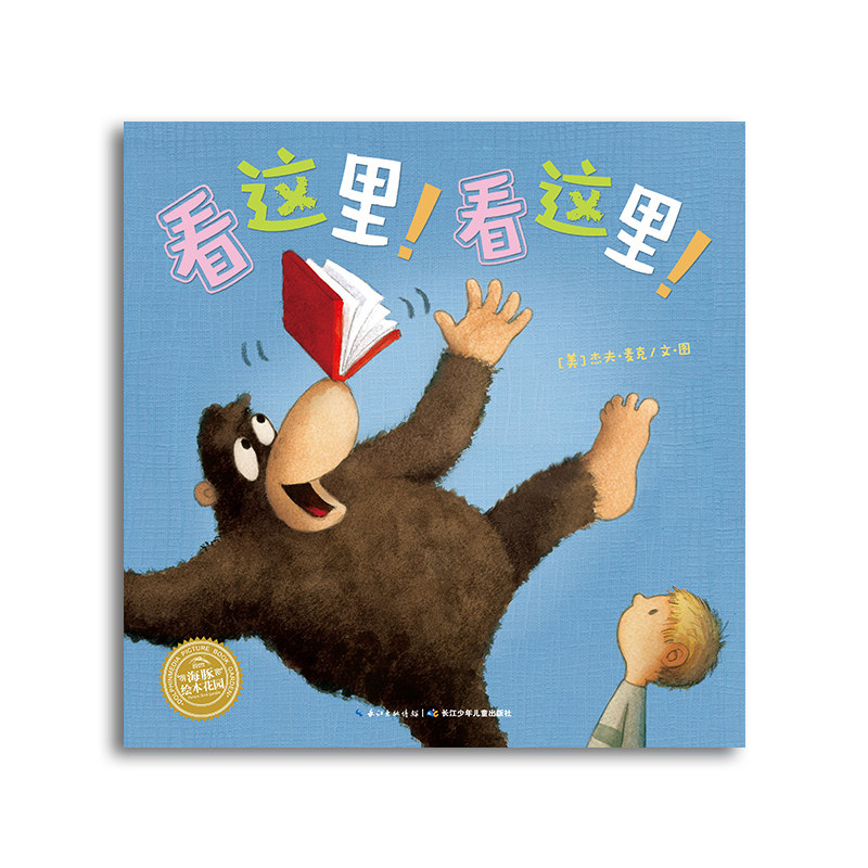 看这里看这里 国际获奖平装海豚绘本花园儿童图画故事书幼儿园宝宝