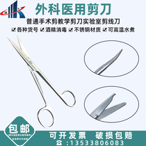 Medical stainless steel surgical surgical cutting eye cosmetics tissue cutting straight head elbow lab household scissors