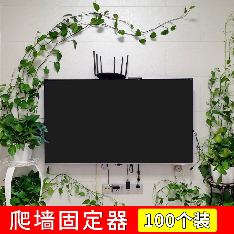 Climbing Plant Hooks for Fixing Green Plants on Walls, No Damage to Walls, No Need for Drilling, Suitable for Indoor Balconies, Hanging Plants, and Rooftop Greenery Climbing Plant Hooks for Fixing Green Plants on Walls, No Damage to Walls, No Need for Drilling, Suitable for Indoor Balconies, Hanging Plants, and Rooftop Greenery