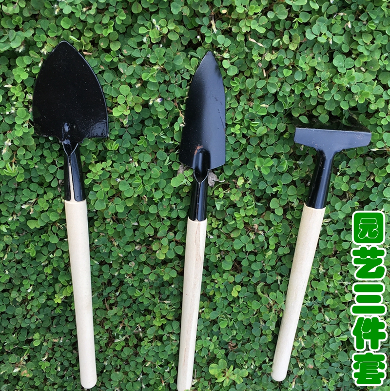 Gardening tools suit Mini three sets of small shovel gardening seed flower tools flower shovel multi-meat plants