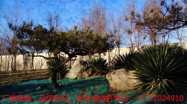 siège enfants pour vélo - Ref 2418166 Image 51