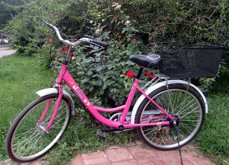 Panier pour vélo en métal - Ref 2255725 Image 18