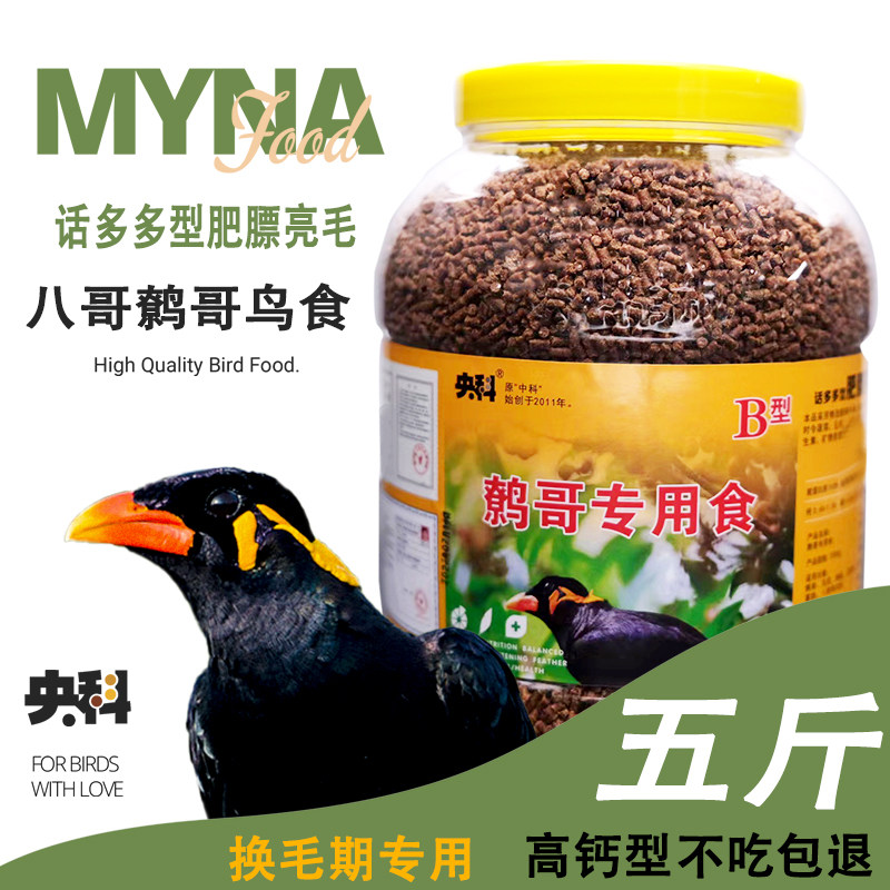 Wren Gothic feed VIII Gothic octoforts Fodder Tensile Lean weight Fat Bright 5 catty Barrel Nutritional wrend Gothic Bird Food