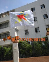Double through flag design customized production custom class flag team flag tour flag logo flag flag flag
