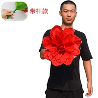 Чай улун Да Хун Пао, 40см