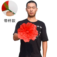 Красный чай улун Да Хун Пао, 30см