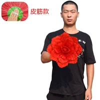 Чай улун Да Хун Пао, 30см