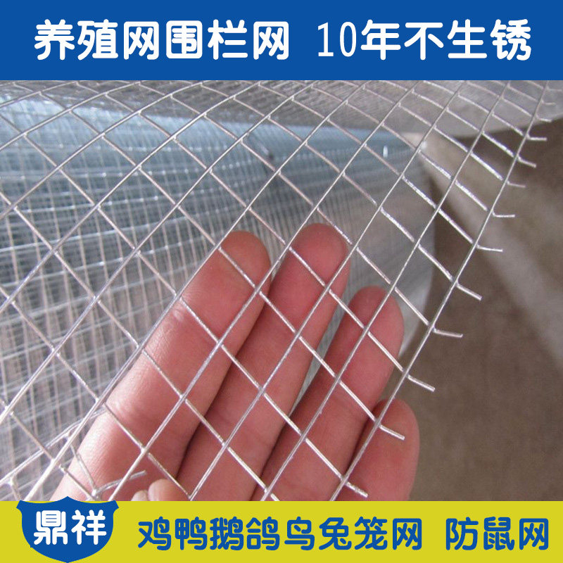 Barbed wire fence, breeding net, chicken net, household balcony protection net, anti-rat net, hot-dip galvanized welded wire mesh, wire mesh