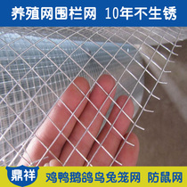 Barbed wire fence breeding nets Chicken Nets Home Balcony Protection Against Rat Nets Hot Galvanized Electro-Welded Mesh Steel Wire Mesh