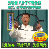 Liu Jingrus Formula Baguazhang: Bagua Ziwu Yuanyangyue 40 Forms U Disk Video Decomposition and Explanation of Cheng Pai Martial Arts