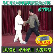 Mahong Chen Style Taijiquan and Gongli Training U-disc Video Chens Teaching explanation
